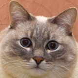 1747224048870188