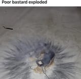RIP