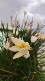 IMG_20250423_174505_046