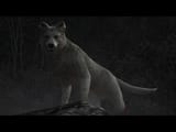 Istantanea_2025-07-05_19-28-02