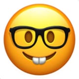 nerd-face