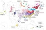 albion_gene