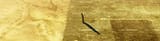 i-just-realised-why-maine-saw-the-desert-road-in-his-v0-yg35vt70o46d1