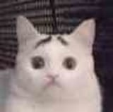 1727880375708131