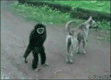 1345337076214