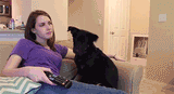 Laina_Walker_-_daily_gifdump_362_16