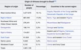 Screenshot 2025-07-05 at 13-37-44 Afro-Brazilians - Wikipedia