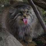 IMG_20250705_134248_097