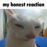 64645