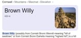 brown willy