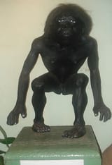 1751749186388182