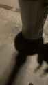 1751750032963458_thumb.jpg