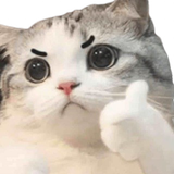 13294249303212