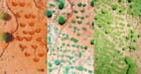 desert-greening-thumb