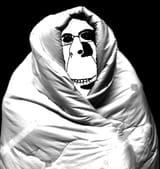 soyguy