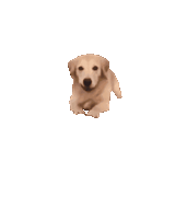 1742858841340225