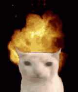 image000000