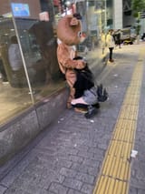 1733975324411186