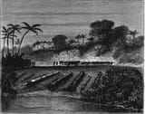 Ottoman_and_Acehnese_guns_after_the_Dutch_conquest_of_Aceh_in_1874_Illustrated_London_News