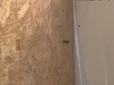 IMG_20250706_104013693