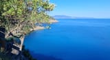 IMG_20250706_150862
