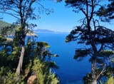 IMG_20250706_180832