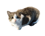 1748789909901041