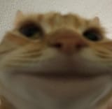 167079537133