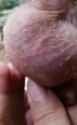 1666308662501864_thumb.jpg