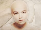 Was-Bjorks-‘Hunter-video-inspired-by-her-murderous-stalker-Far-Out-Magazine-750x563-1206227922