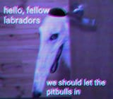 1f1701c0c7ec2882