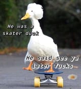 1641004994876
