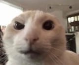 1652016938839
