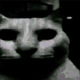 1726881121928