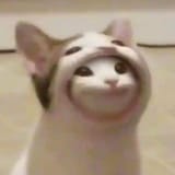 1621280924053