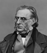 napier