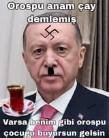 nr8fzljvzabf1