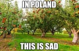 1720903219429694