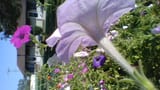 WIN_20210814_17_29_31_Pro (3)