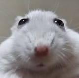 1742789398584527