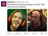pewdiepie calls joe rogan dumb