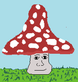 1732313607018444
