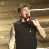 1739312648536_olly-2048x2048