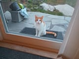 IMG_20250706_222351