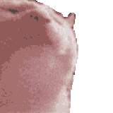 static-assets-upload9999182572802942775