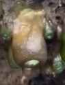 1748829936132407_thumb.jpg
