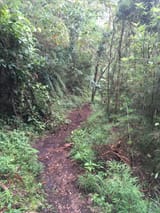 trail