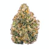 durban-biscottipng-2137023390