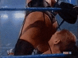 shake-wwe