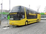 dzbanobus